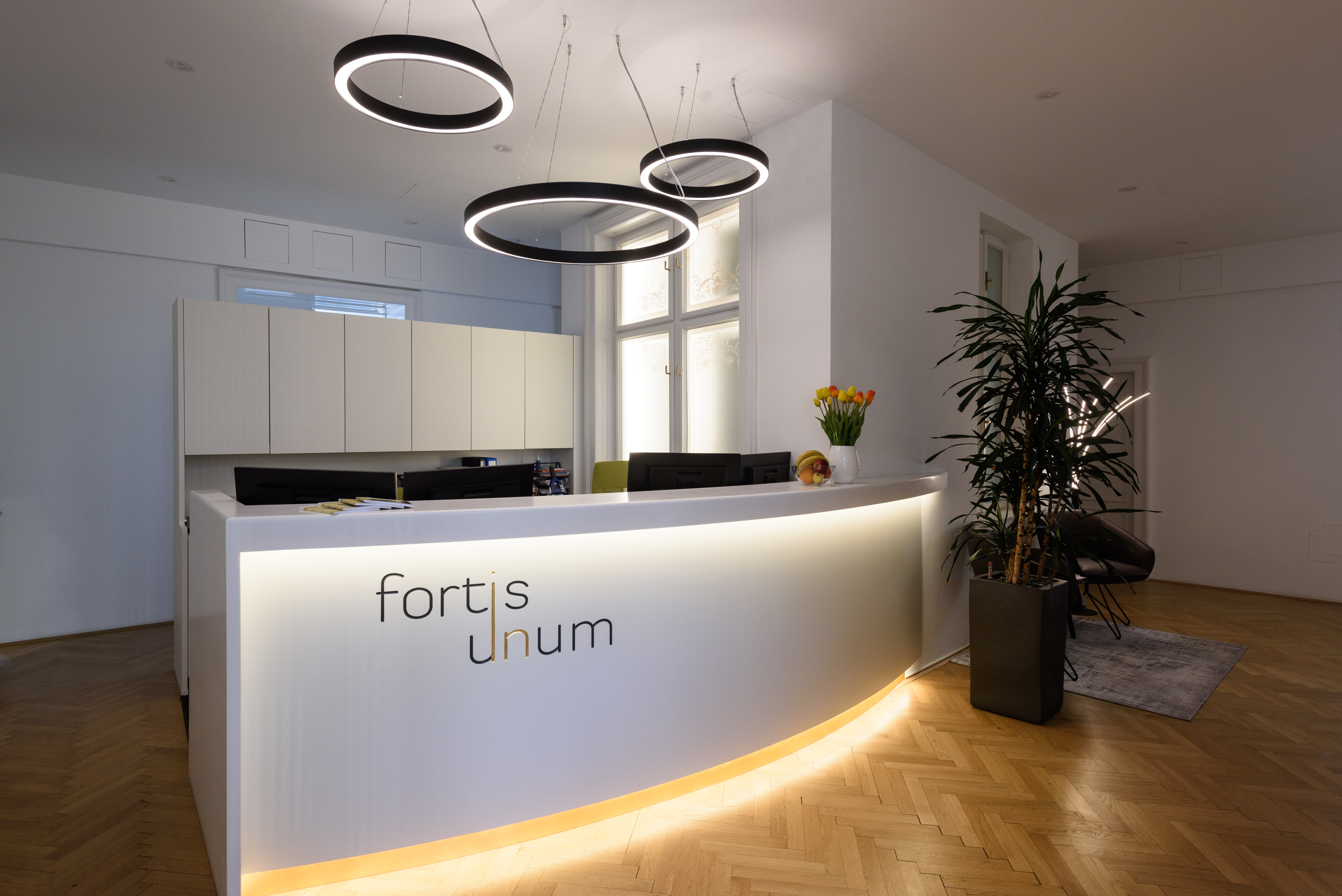 Buchhaltung bei Fortis Unum