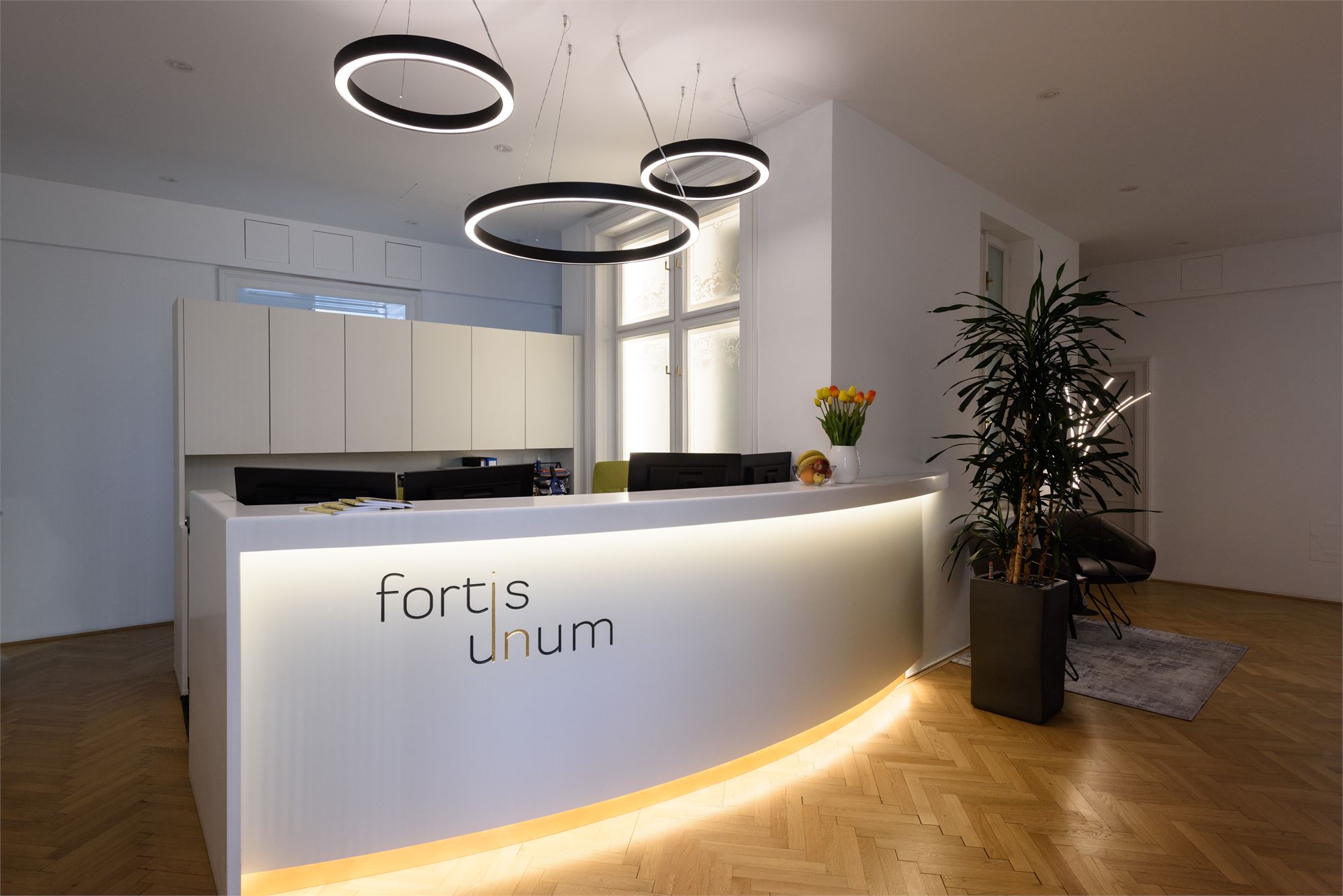 Empfangsbereich von Fortis Unum am Stubenring